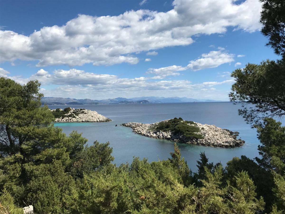 Stermasi Saplunara